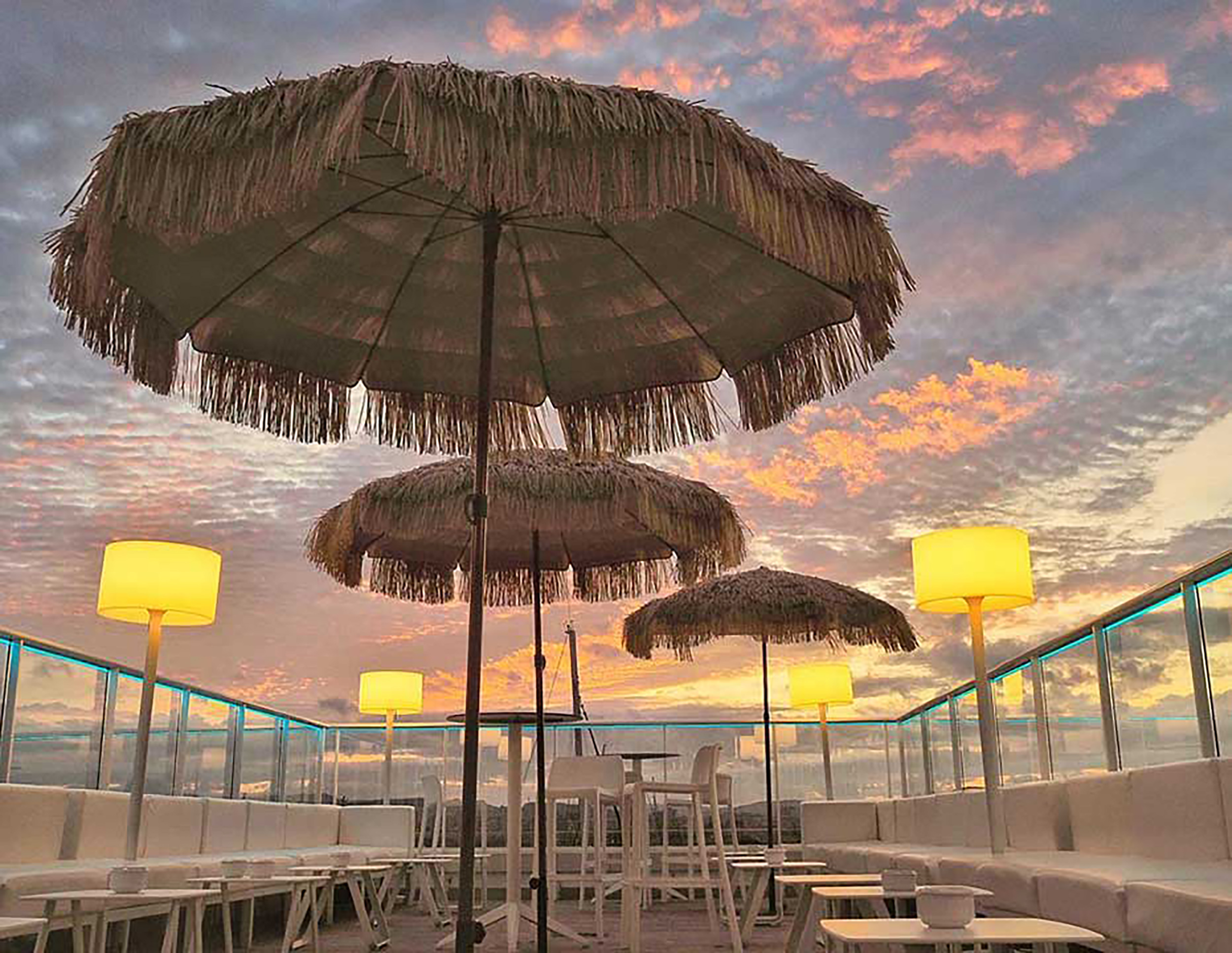 DCBP-MANILA-MARRON (1) DCBP MANILA MARRON 1 1