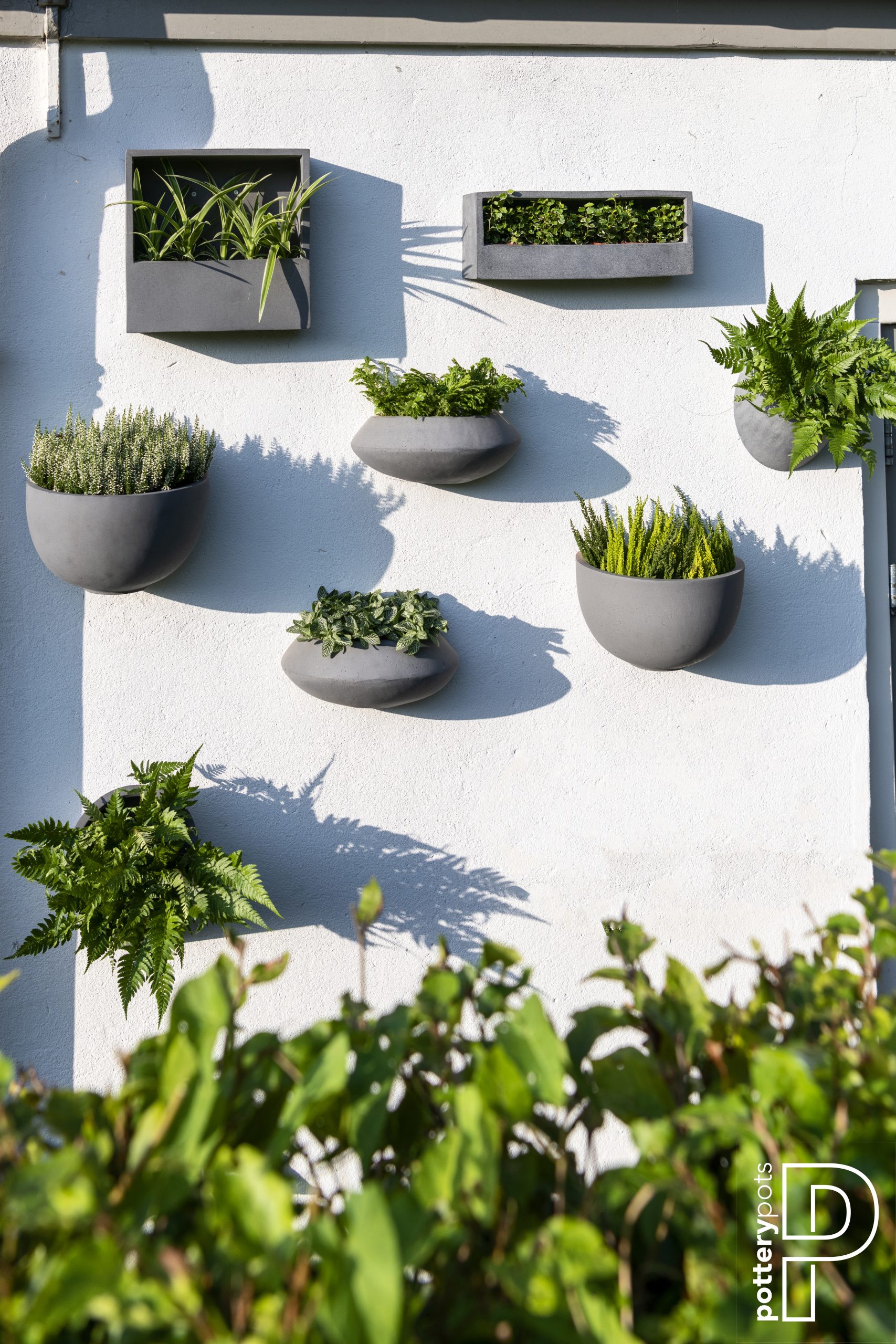 POTE3019W-S1-03 (4) POTE3019W S1 03 4 scaled