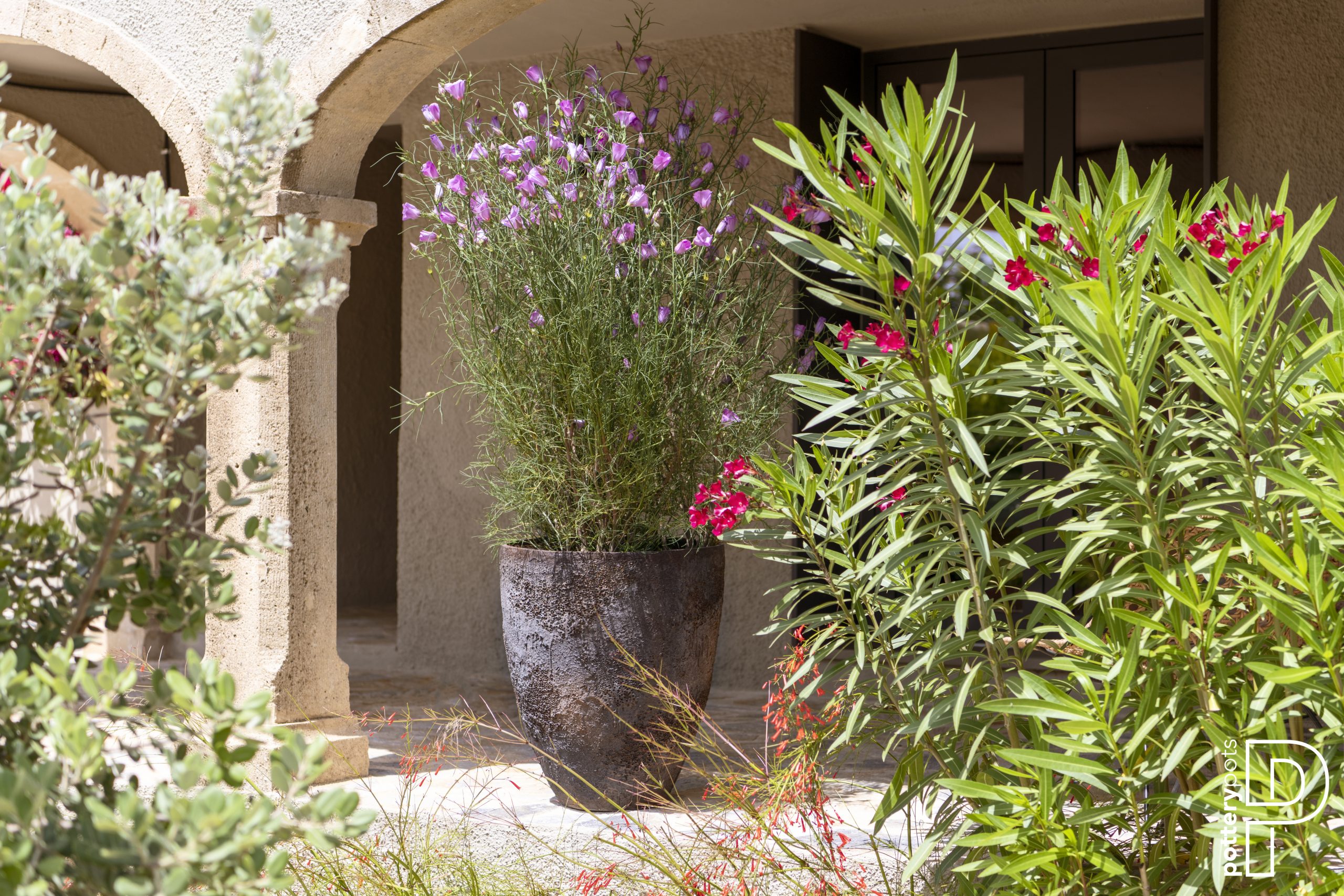 POTR1268 S1 19 3 scaled