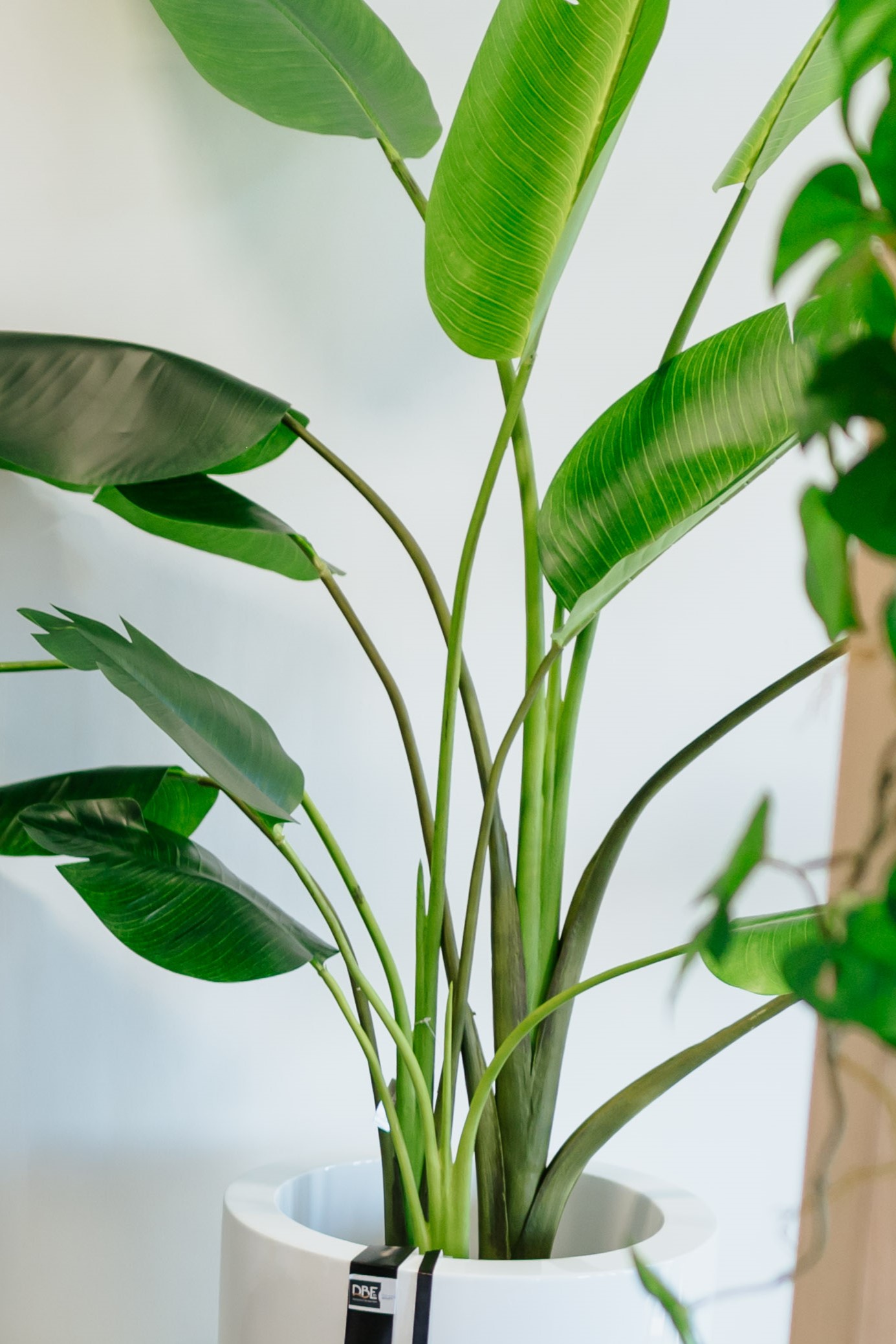 SIL136843 (3) SIL136843 3