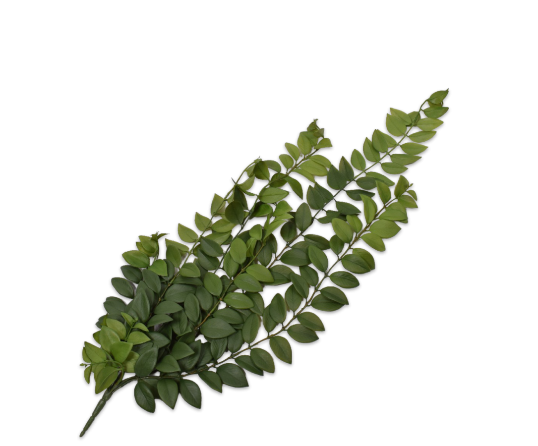 SIL139262 (1) SIL139262 1