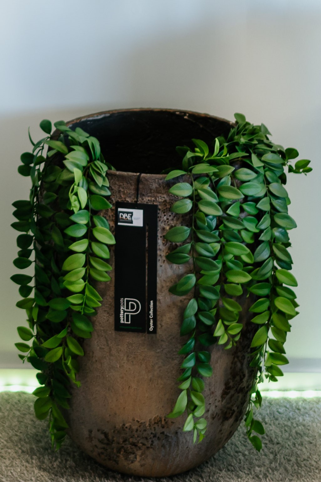 SIL139262 (2) SIL139262 2