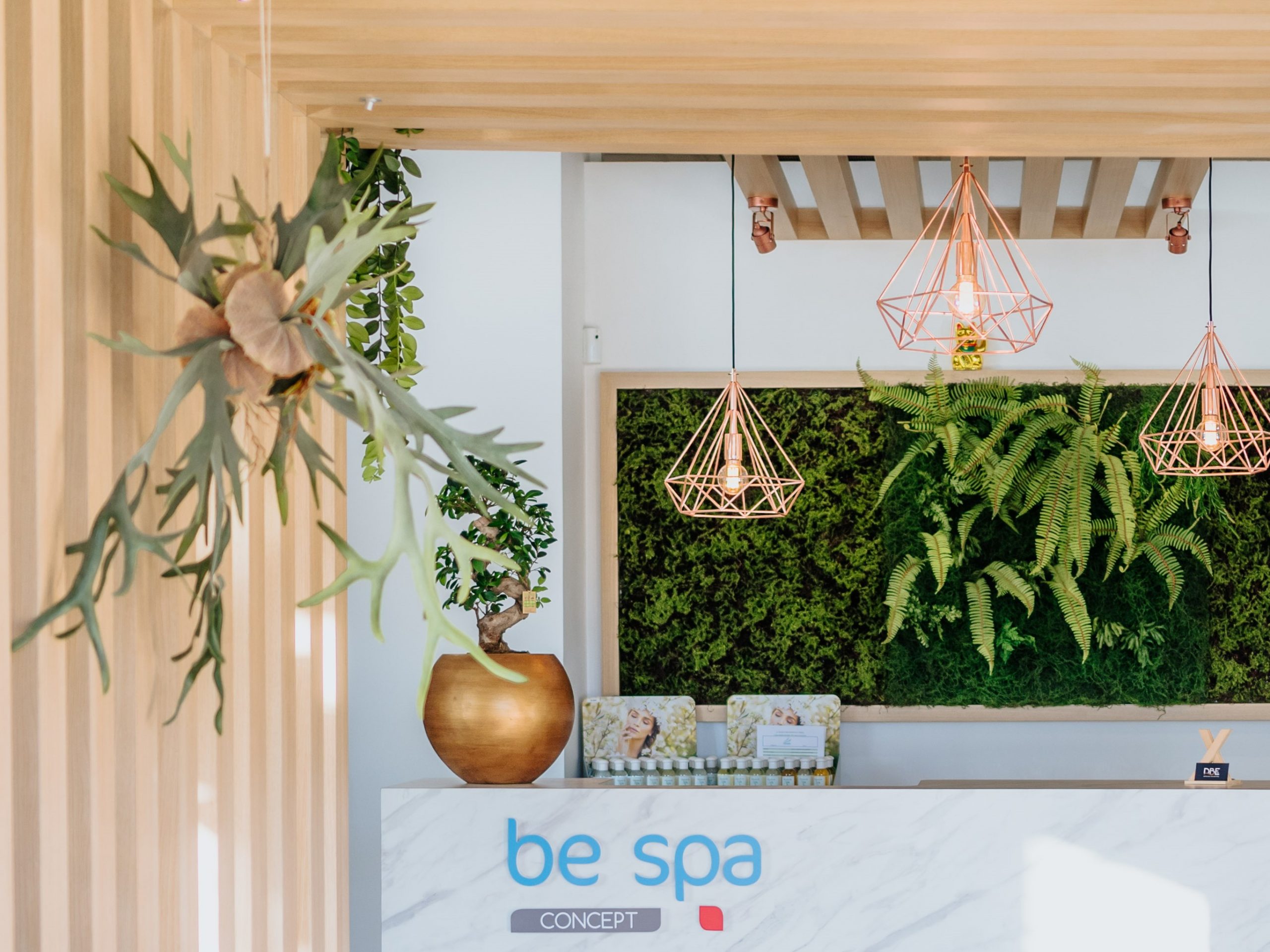 SIL144783 (1) SIL144783 1 scaled