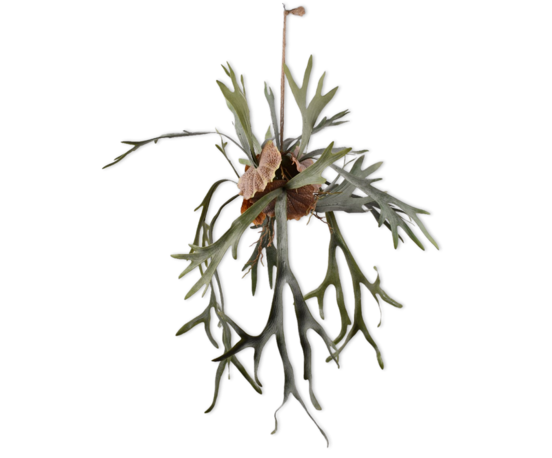 SIL144783 (1) SIL144783 1