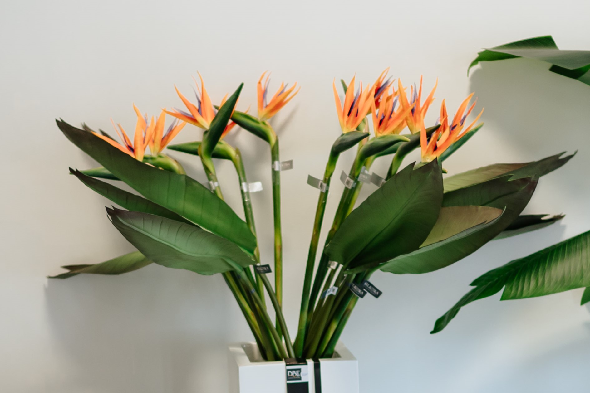 SIL121068 (1) SIL121068 1