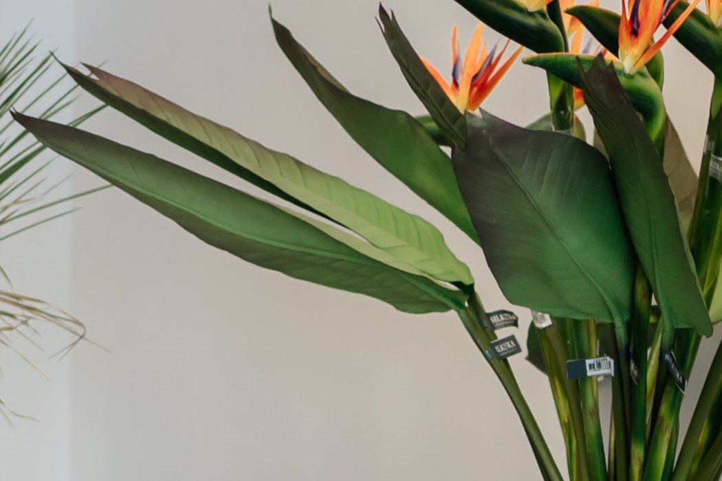 SIL133389 (3) SIL133389 3