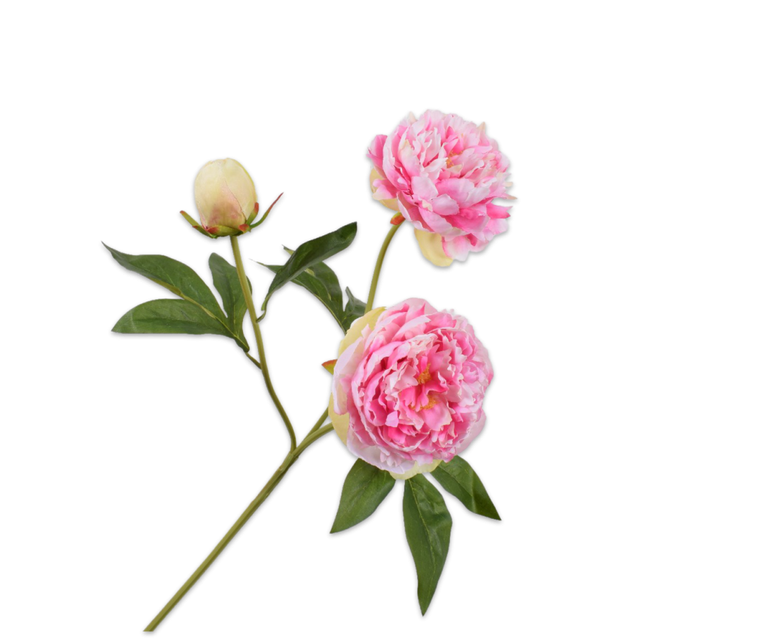 SIL138802 (1) SIL138802 1