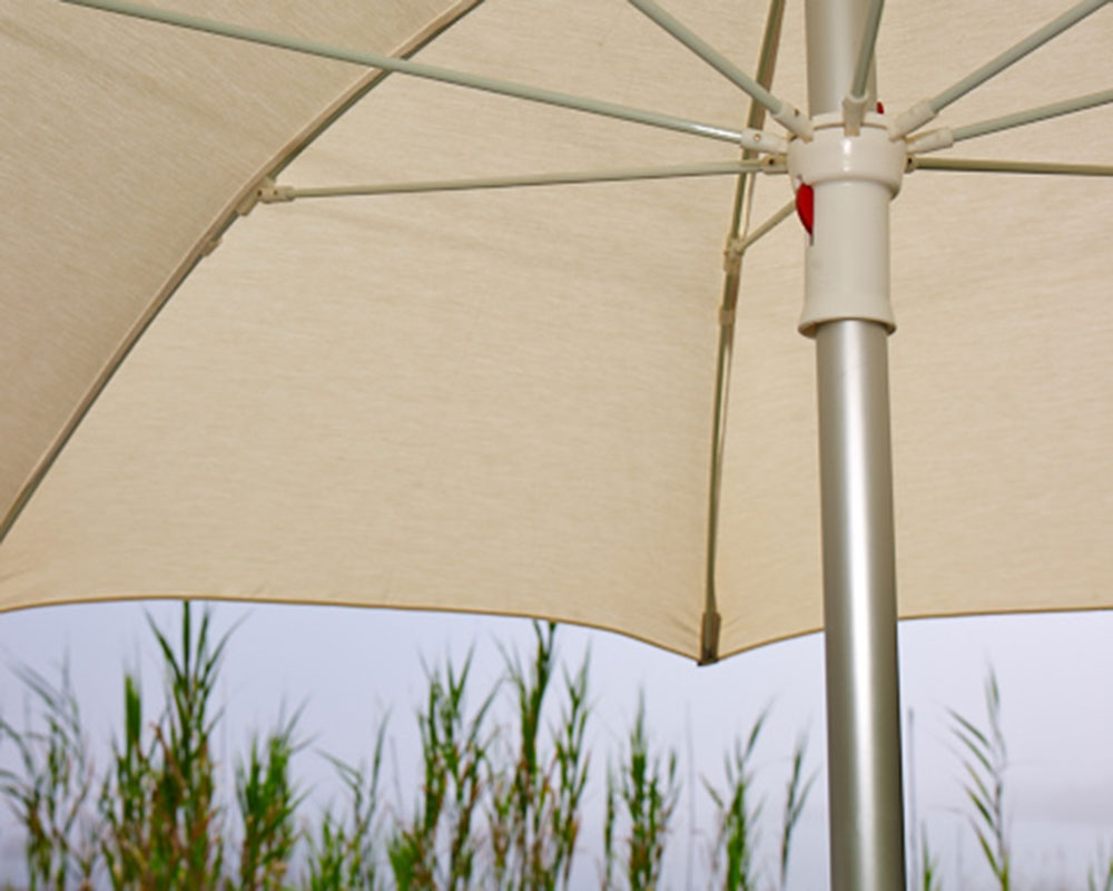 palma-detalle-4 palma detalle 4